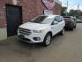 2019 White /Gray Ford Escape SE 4WD (1FMCU9GD1KU) with an 1.5L L4 DOHC 16V engine, 6A transmission, located at 215 Milton St, Dedham, MA, 02026, (781) 329-5144, 42.241905, -71.157295 - Photo#0