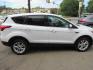 2019 White /Gray Ford Escape SE 4WD (1FMCU9GD1KU) with an 1.5L L4 DOHC 16V engine, 6A transmission, located at 215 Milton St, Dedham, MA, 02026, (781) 329-5144, 42.241905, -71.157295 - Photo#5
