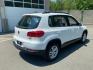 2016 White /Tan Volkswagen Tiguan SE 4Motion (WVGBV7AX5GW) with an 2.0L L4 DOHC 16V TURBO engine, 6A transmission, located at 215 Milton St, Dedham, MA, 02026, (781) 329-5144, 42.241905, -71.157295 - Hop into this sporty 2016 Volkswagen Tiguan and get ready for an adventure! With sleek white exterior and stylish alloy wheels, this car is sure to turn heads as you cruise down the road. You can rest easy knowing that safety is a top priority with features like ABS brakes, traction control, and mul- Photo#2